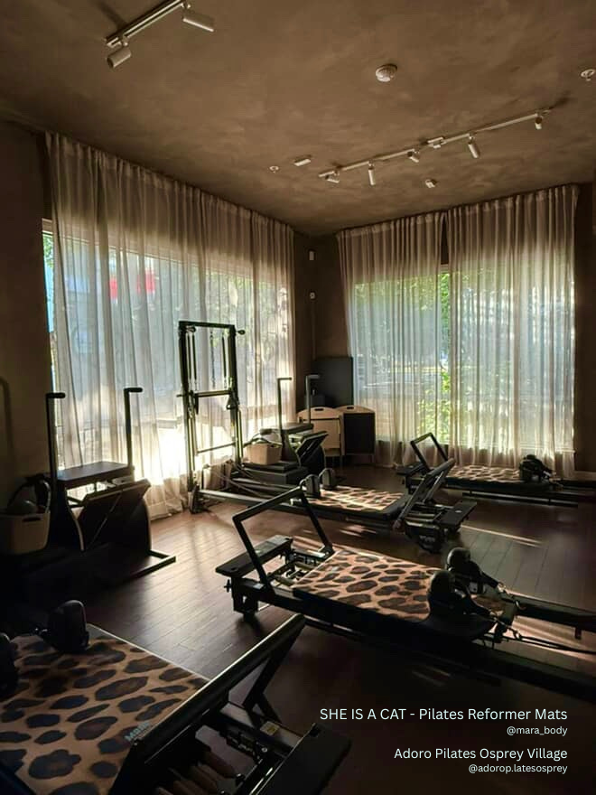 pilates reformer studio aesthetics, pilates reformer studio inspo, aesthetic pilates reformer studio, pilates reformer toronto, pilates reformer vancouver, pilates reformer montreal, reformer mat canada, reformer mats canada, pilates lover gift idea, pilates lover gift toronto, pilates instructor gift canada, pilates lover gift canada, pilates studio aesthetics, pilates studio toronto, pilates studio vancouver, pilates studio montreal, reformer studio toronto, refomer studio vancouver, reformer studio ottaw