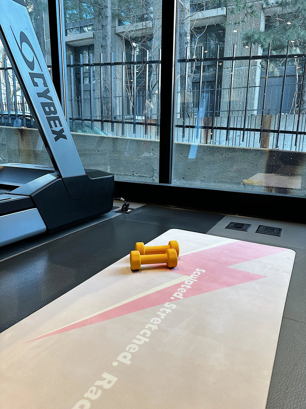 Gym equipment with a designer aesthetic yoga mat and dumbbells on a floor with a window view. Home gym decor.