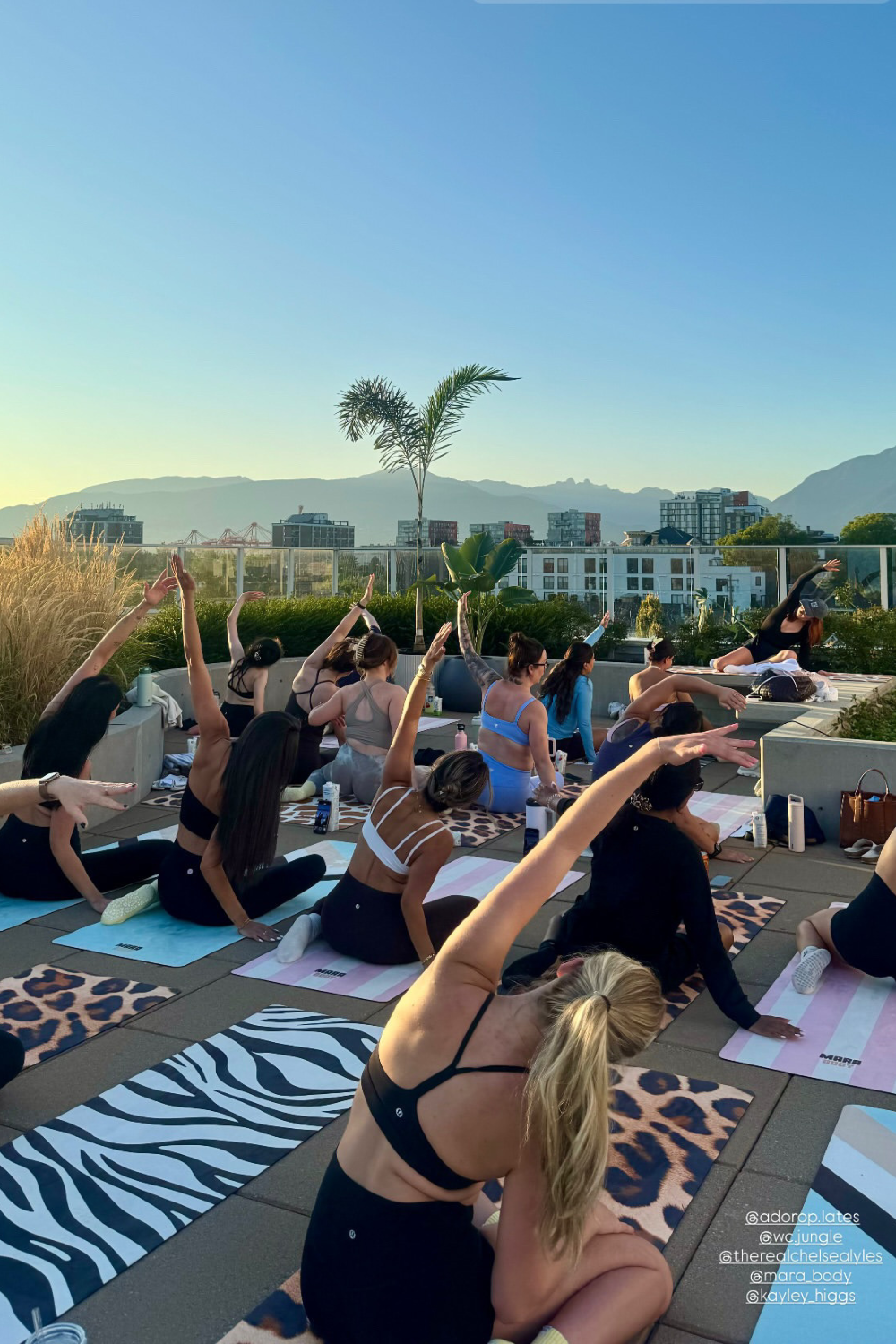 zebra print yoga mat, leopard print yoga mat, pink and white stripes yoga mat, baby blue yoga mat, mara body