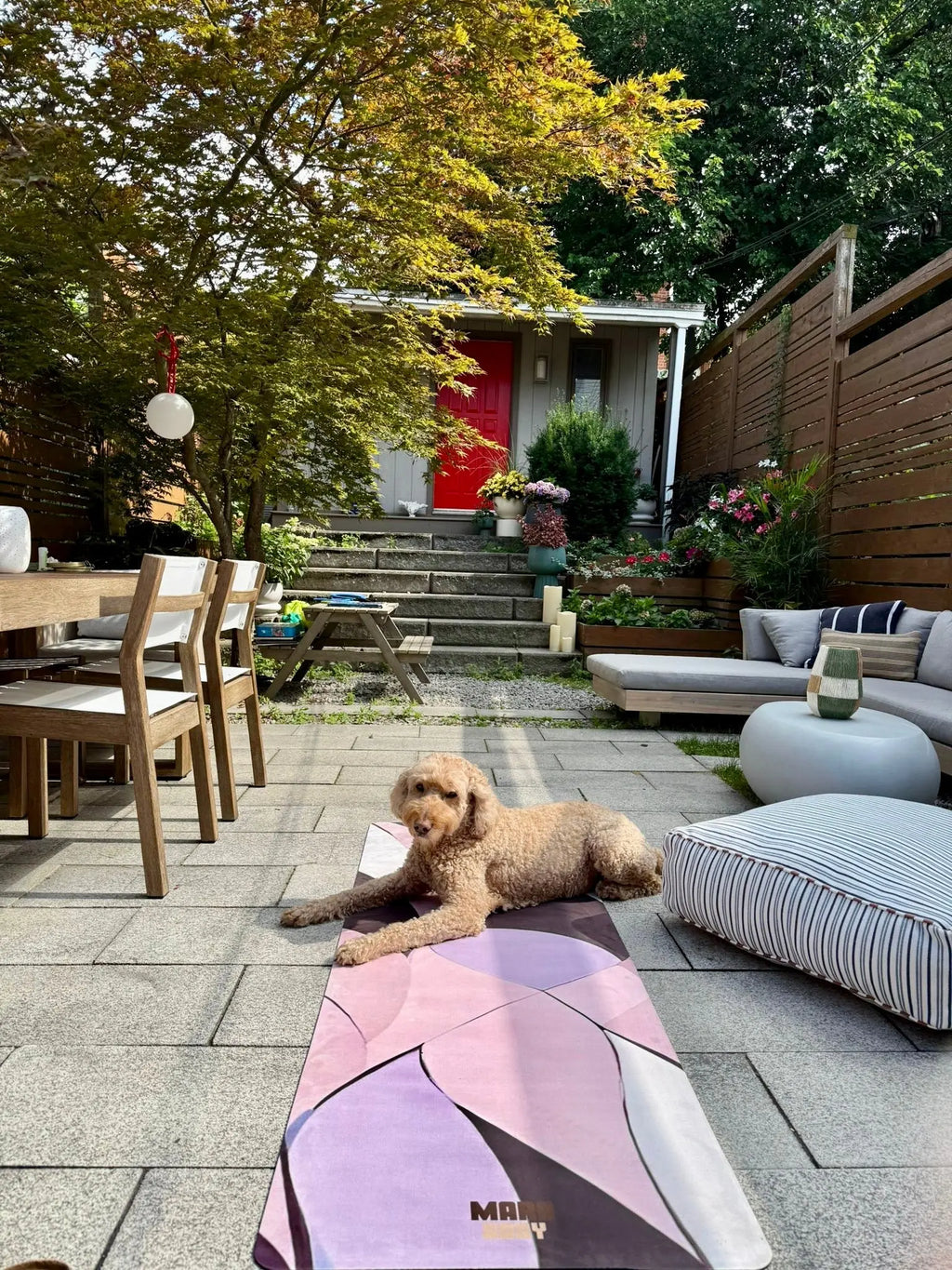 Dog lying on a colorful yoga mat in a aesthetic backyard with a house and garden in the background