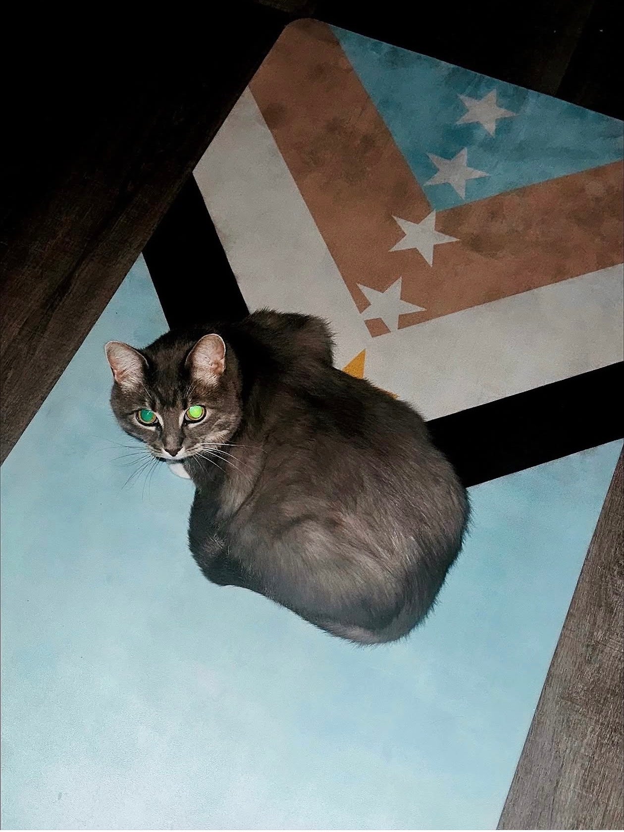tabby cat on top of baby blue design mat featuring yellow and white stars 